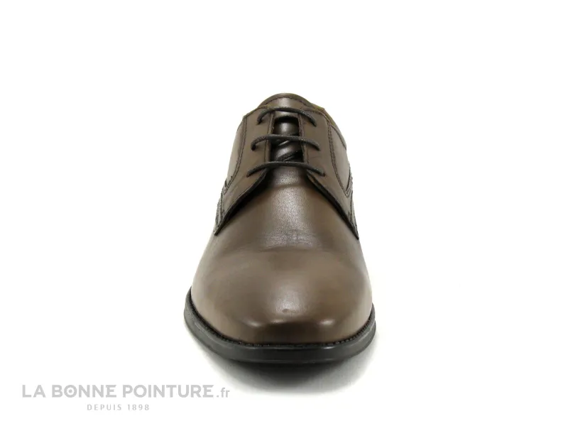 Achat chaussures Brad and Co Homme Chaussure habillée, vente Broker and Co BERNE AW I0190 01 - Chaussure habillee Homme cuir mar