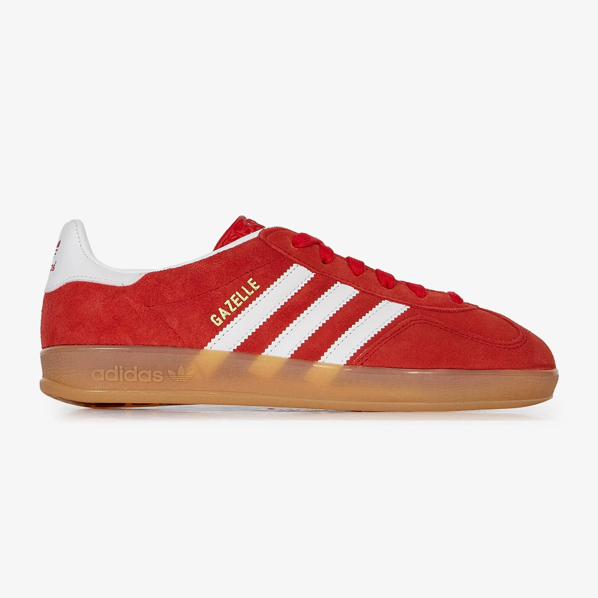 GAZELLE INDOOR