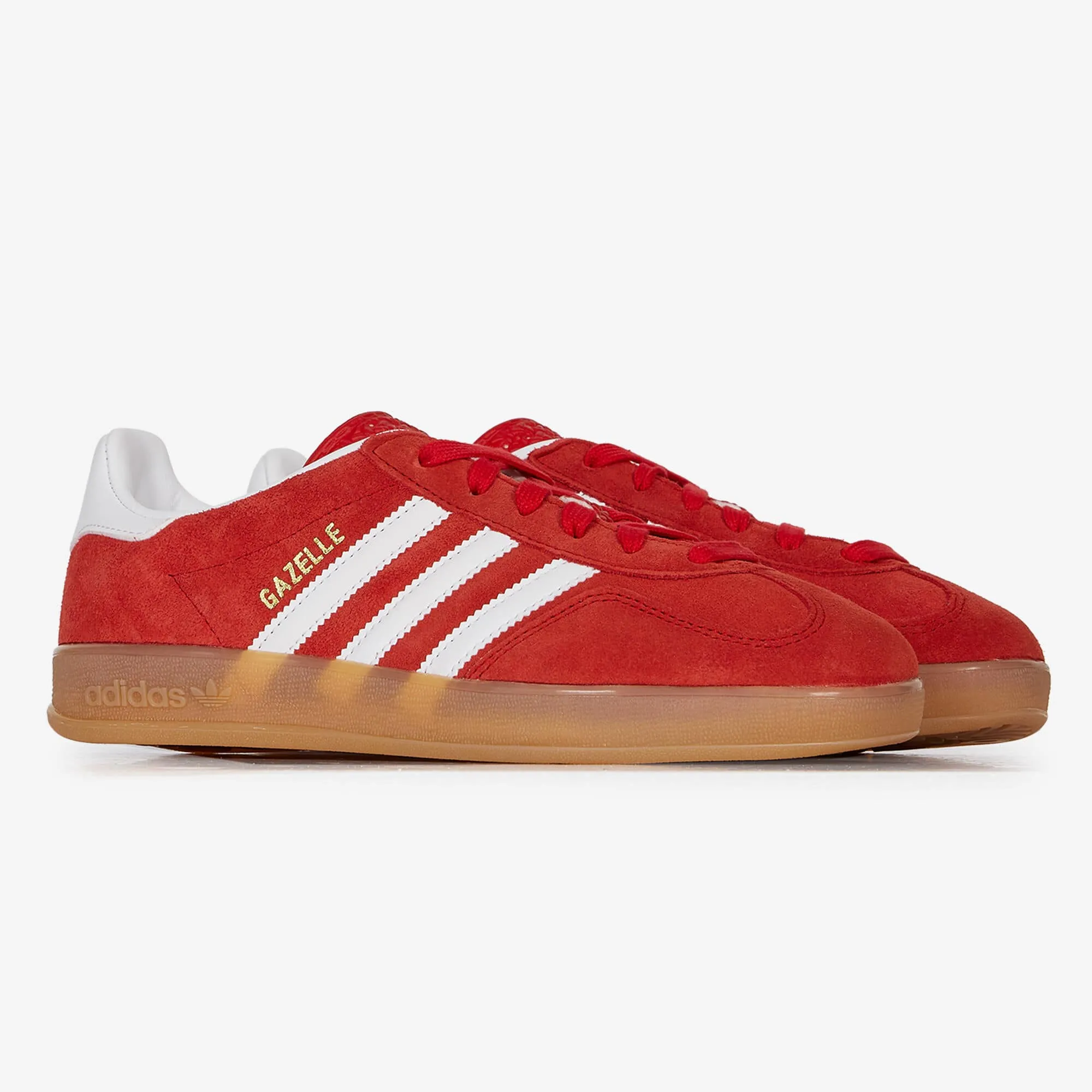 GAZELLE INDOOR